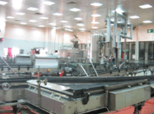 Food and Beverage Industries